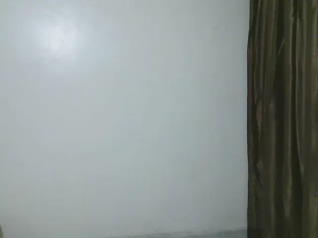 Petitelv recorded show