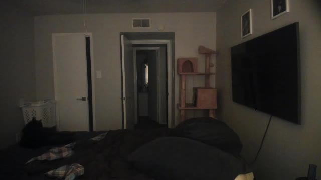 c00ki3m0nstr image 2026.09.21